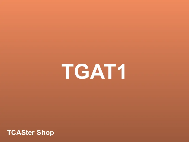 TGAT1 การสื่อสารภาษาอังกฤษ