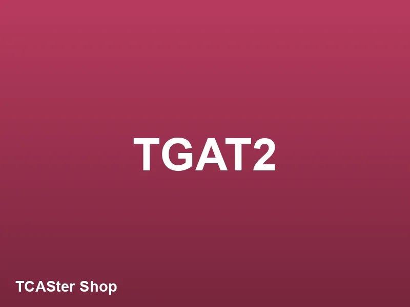 TGAT2 การคิดอย่างมีเหตุผล